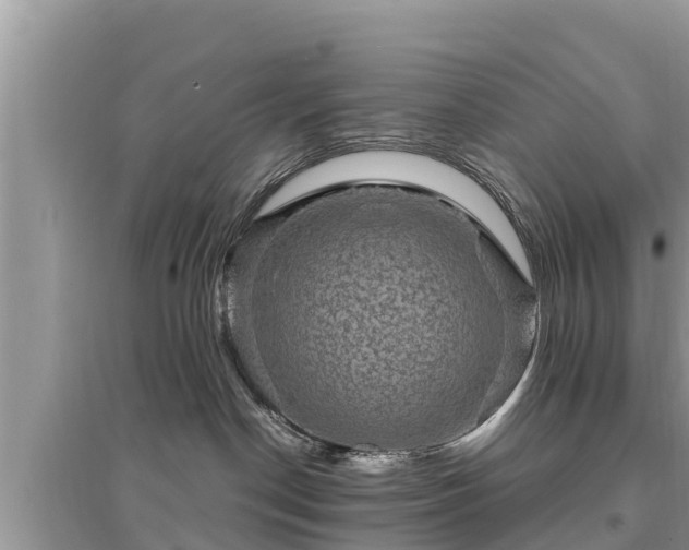 X0000095550190200712211418