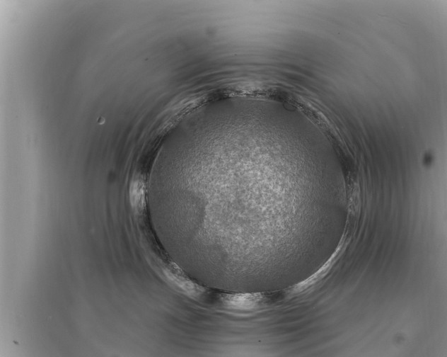 X0000095550191200712211418