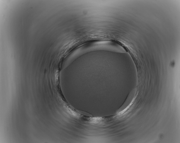 X0000095550192200712211418