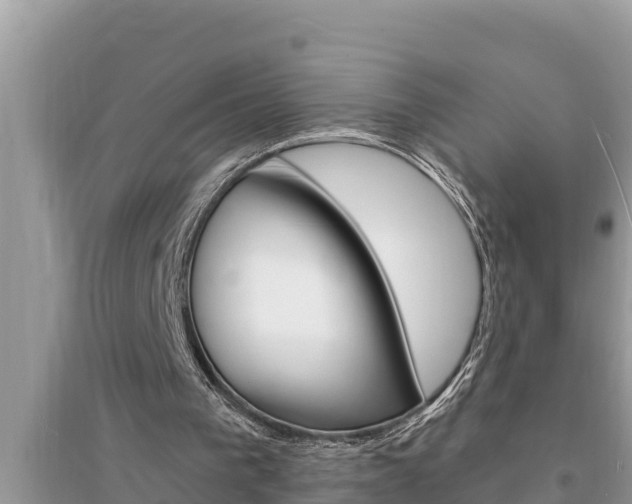 X0000095550193200712211417