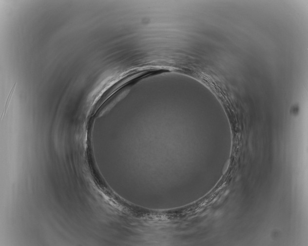 X0000095550194200712211417