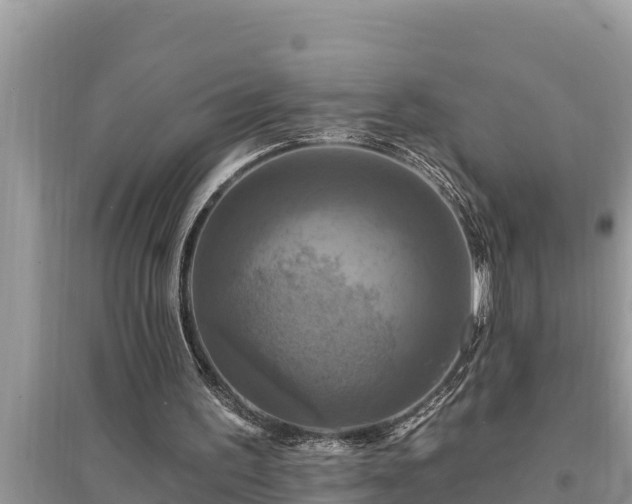 X0000095550195200712211417