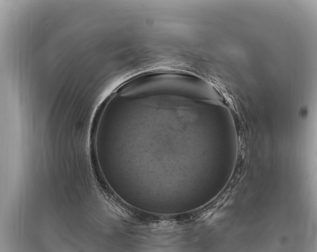 X0000095550196200712211417