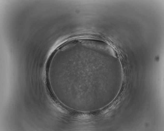 X0000095550198200712211417