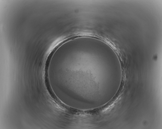 X0000095550199200712211417