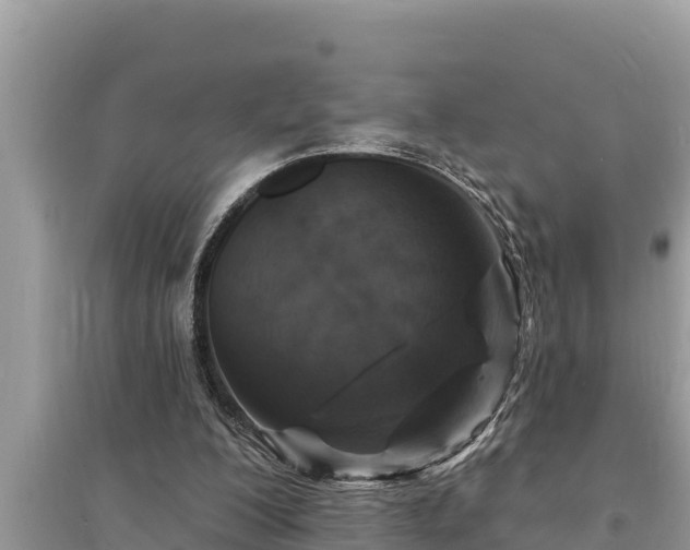 X0000095550200200712211417