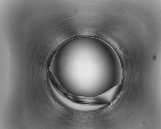 X0000095550201200712211417