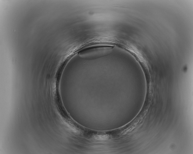 X0000095550202200712211417