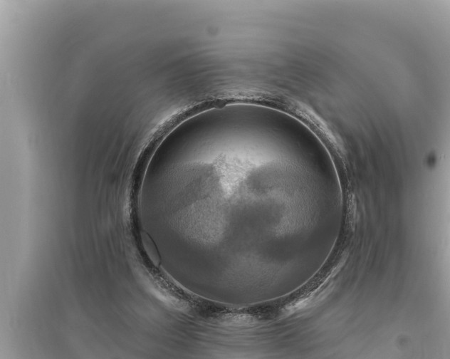 X0000095550203200712211417