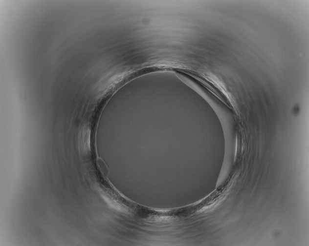 X0000095550205200712211417