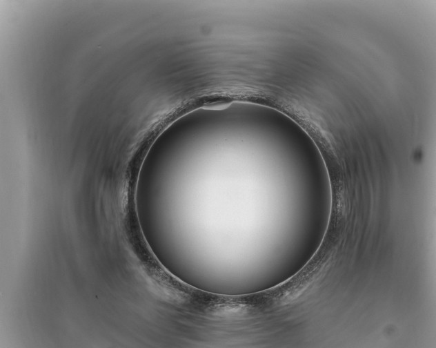 X0000095550206200712211417