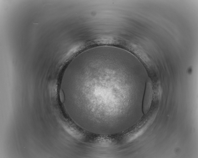 X0000095550207200712211417