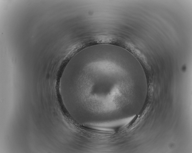 X0000095550209200712211417