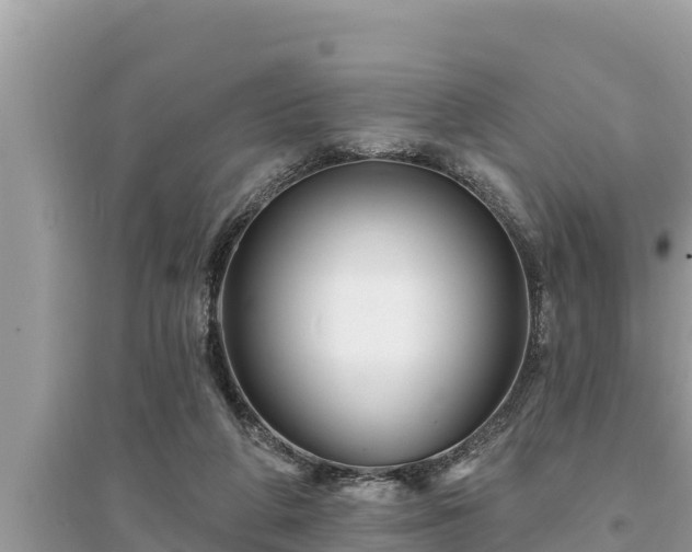 X0000095550210200712211417