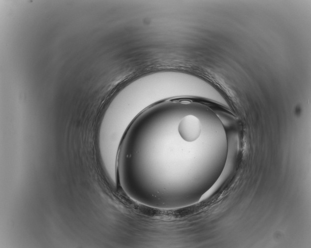 X0000095550211200712211417