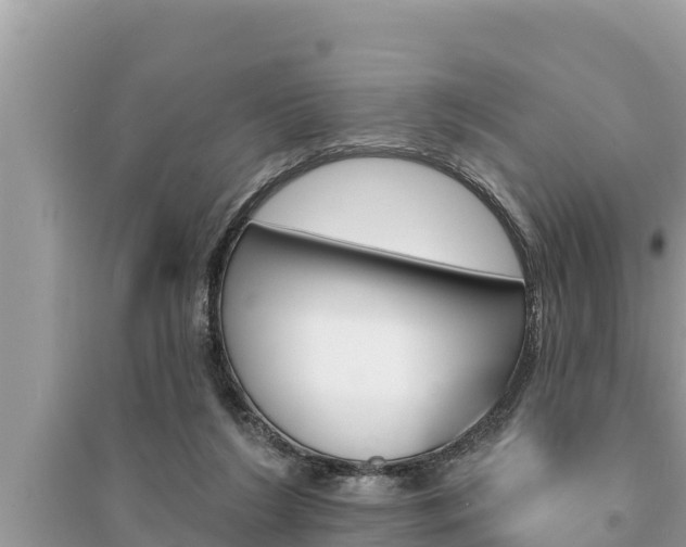 X0000095550212200712211417