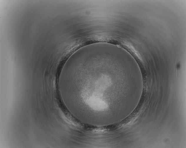 X0000095550213200712211417