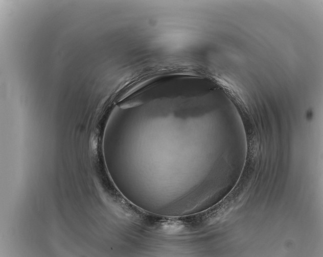 X0000095550214200712211417