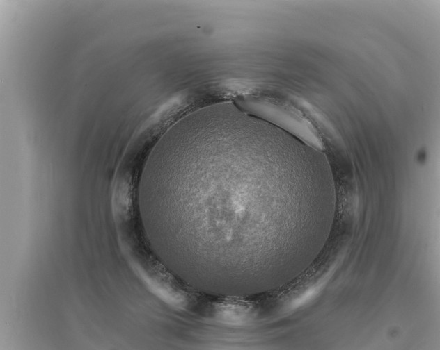 X0000095550215200712211417