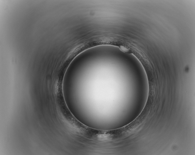 X0000095550216200712211417