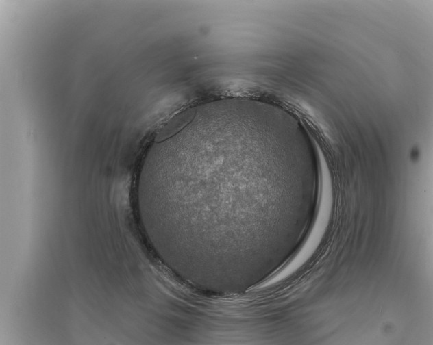 X0000095550217200712211417