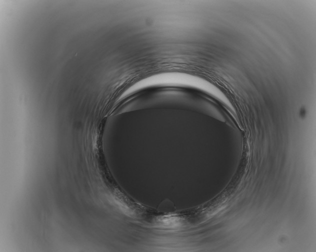 X0000095550219200712211417