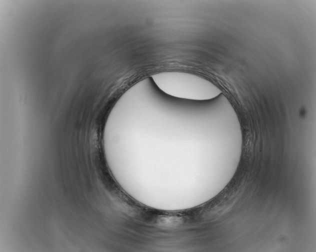 X0000095550220200712211417