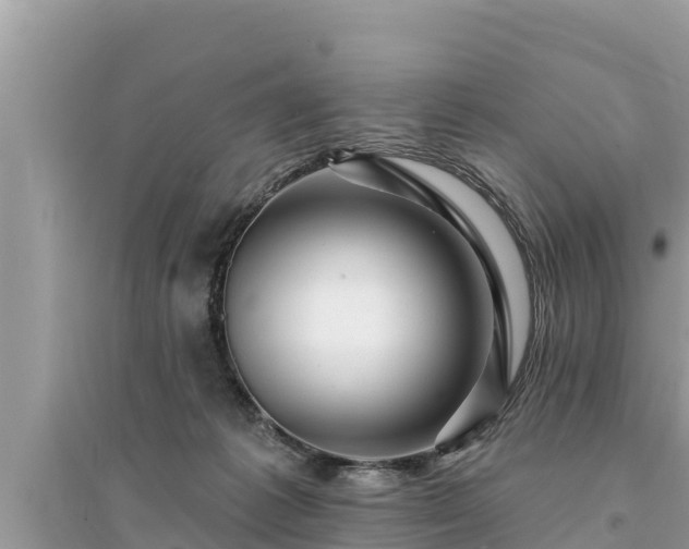 X0000095550221200712211417