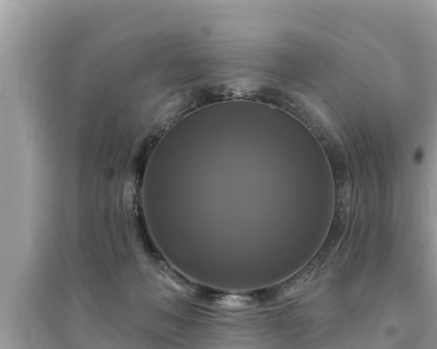 X0000095550222200712211417