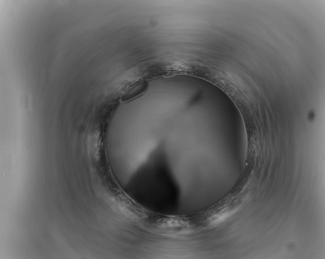 X0000095550223200712211417