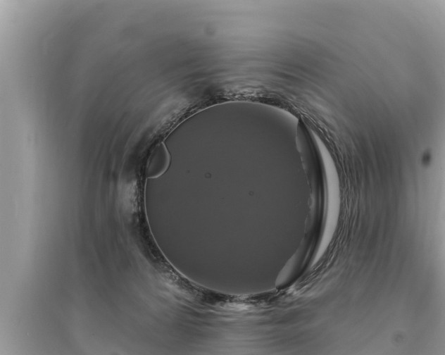 X0000095550224200712211417