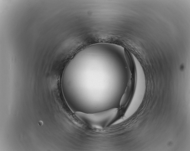 X0000095550225200712211416