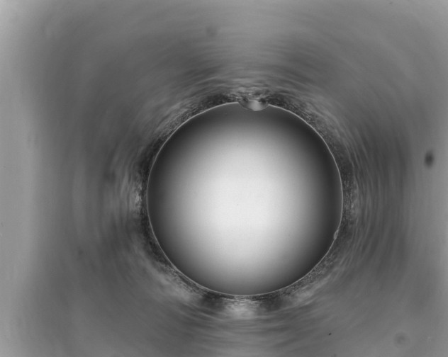 X0000095550226200712211416