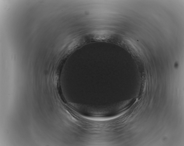 X0000095550227200712211416