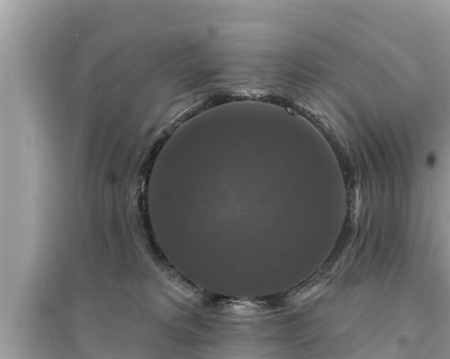 X0000095550229200712211416