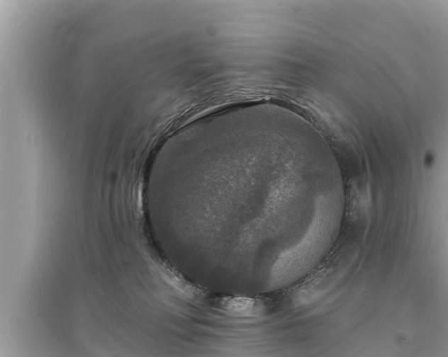 X0000095550230200712211416