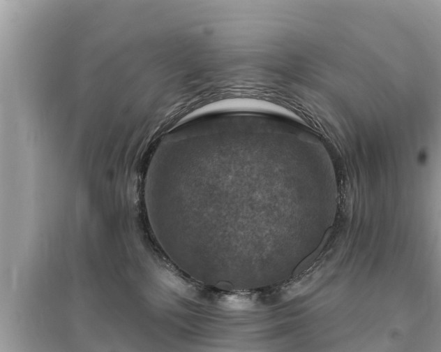 X0000095550232200712211416