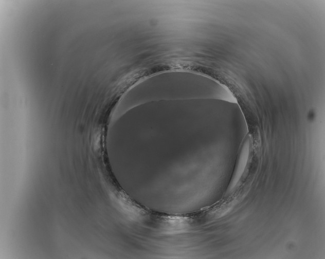 X0000095550233200712211416