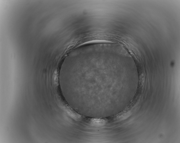 X0000095550234200712211416