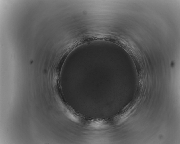 X0000095550235200712211416