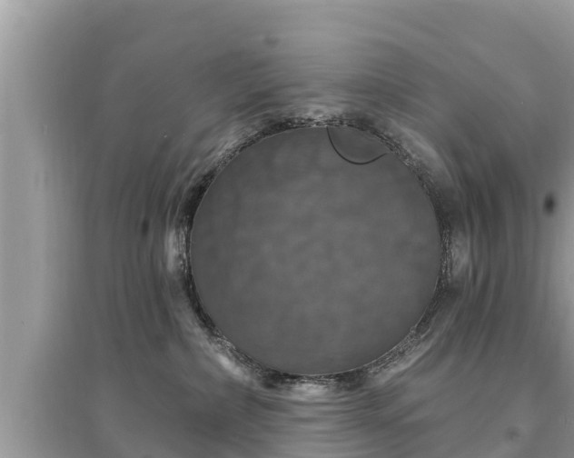 X0000095550236200712211416