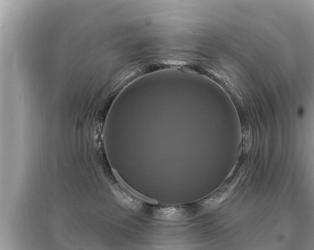 X0000095550237200712211416