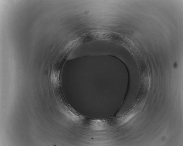 X0000095550239200712211416