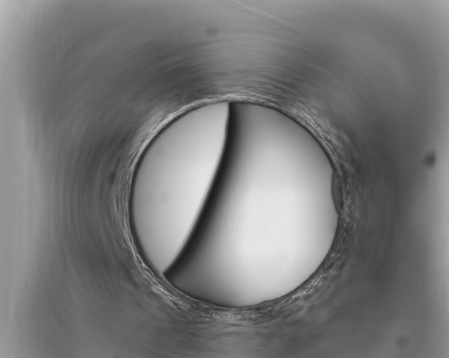 X0000095550241200712211415