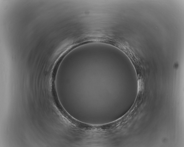 X0000095550243200712211415