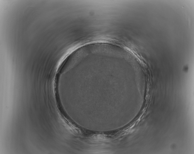 X0000095550244200712211415