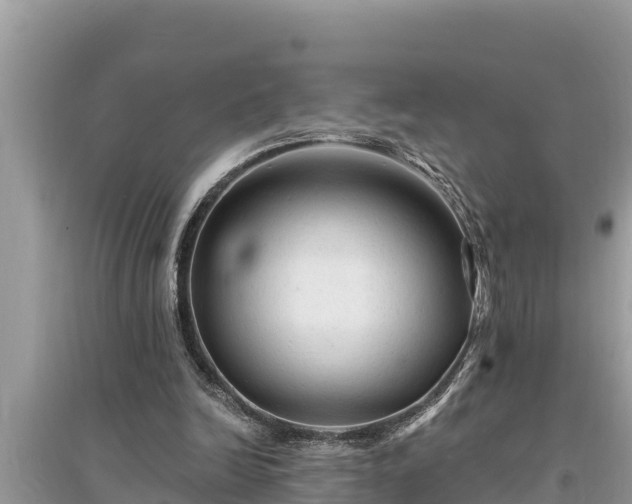 X0000095550246200712211416