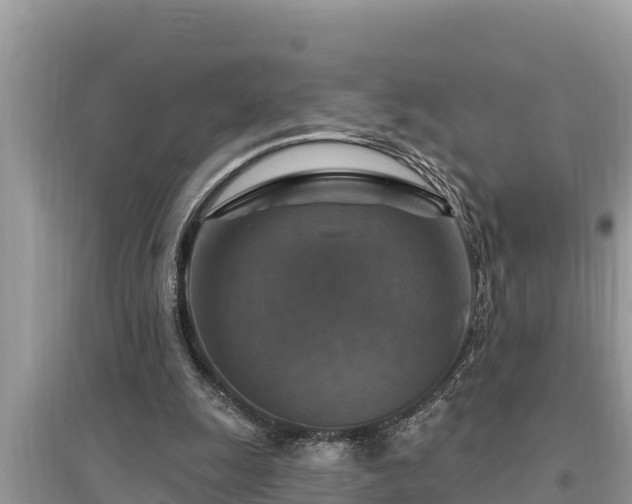 X0000095550247200712211416