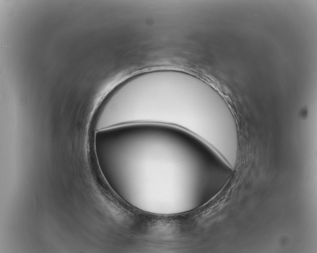 X0000095550248200712211416