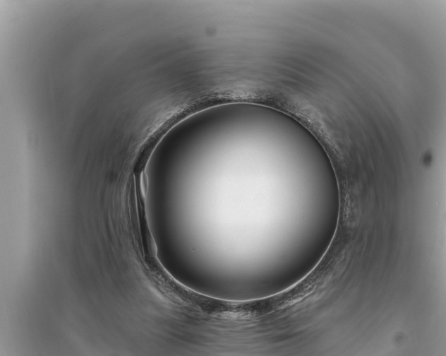 X0000095550251200712211416